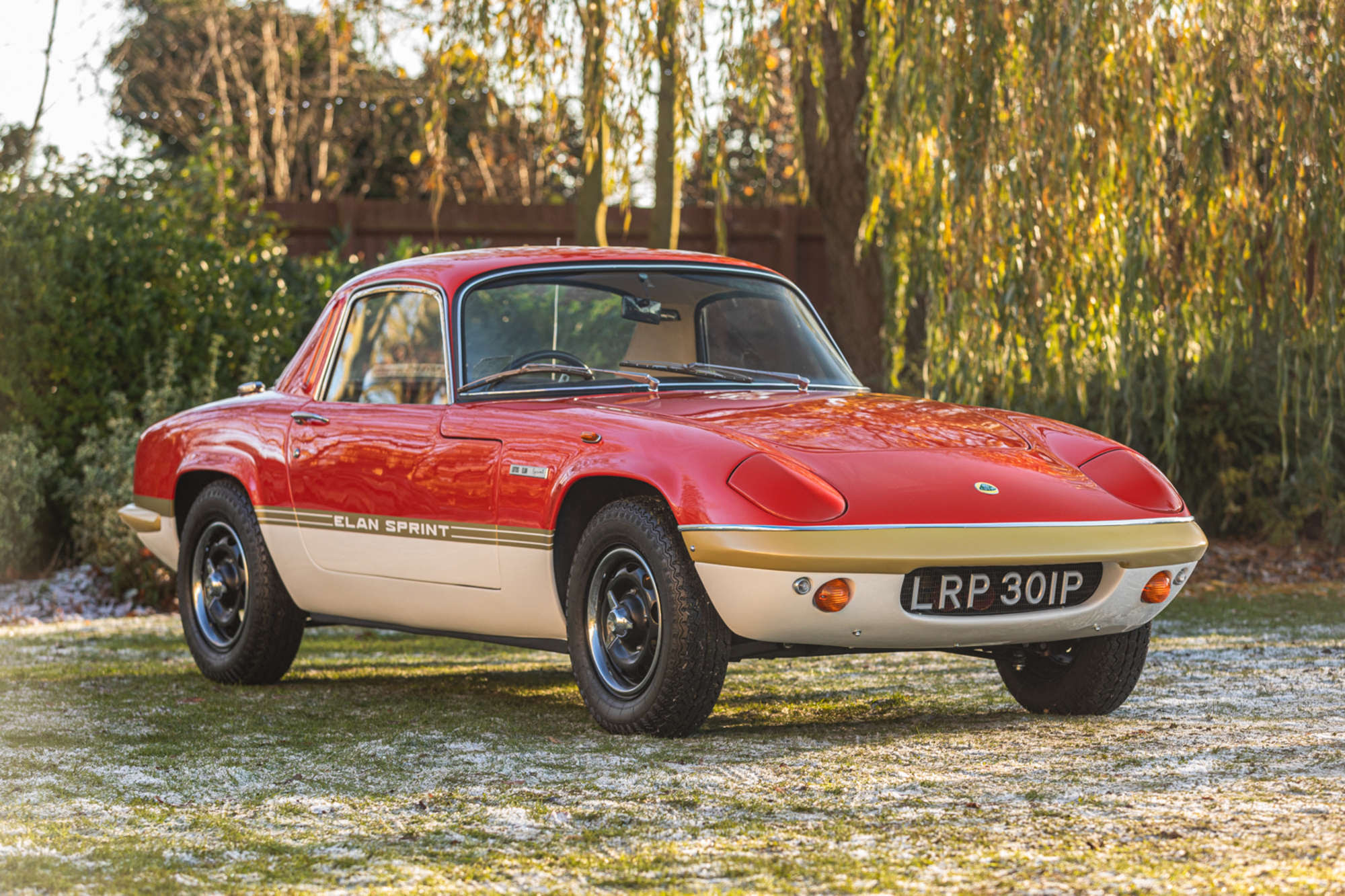 FOR SALE: Magnificent Seven Lotus Collection