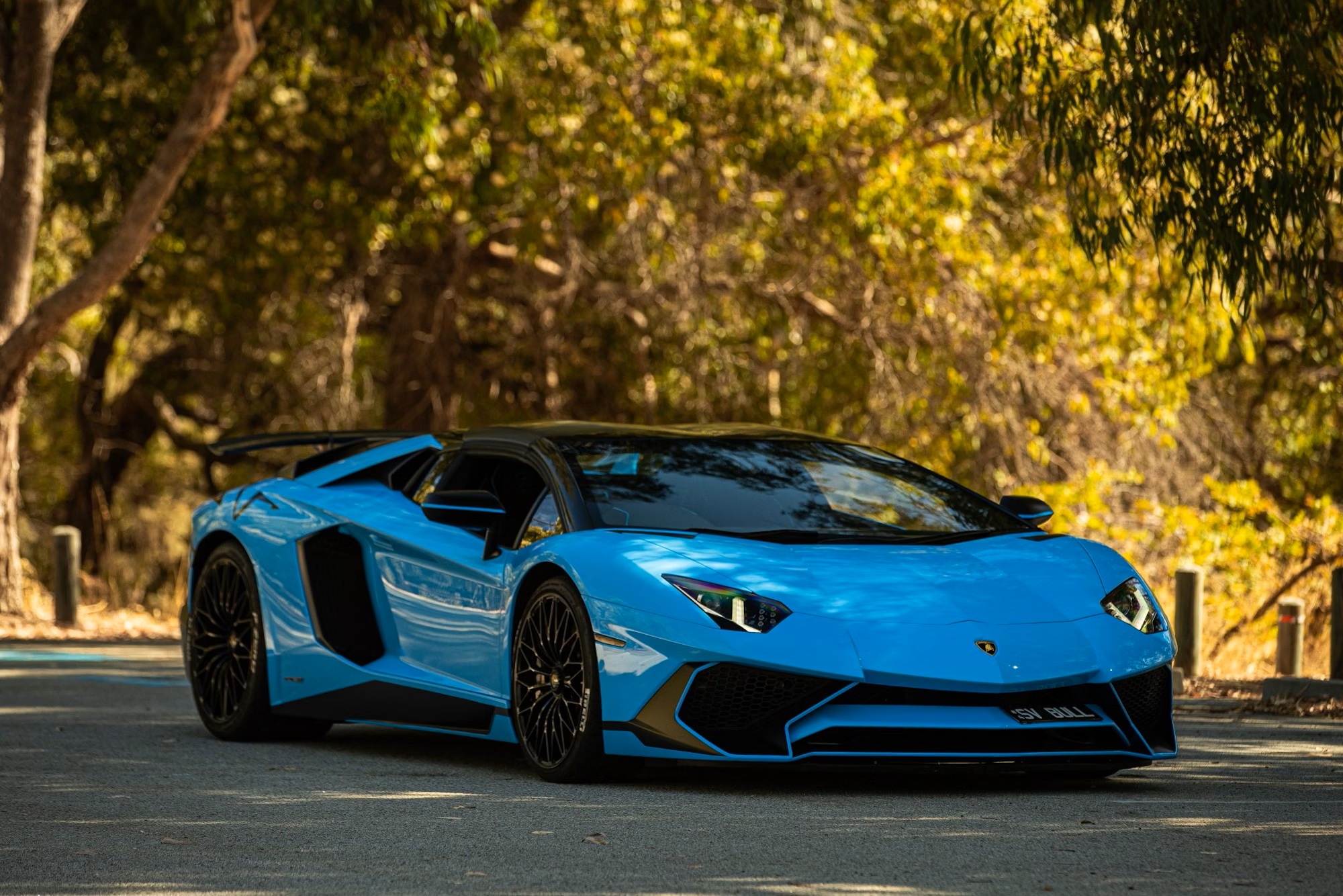 Car Of The Day: 2017 Lamborghini Aventador LP 750-4 SV Roadster