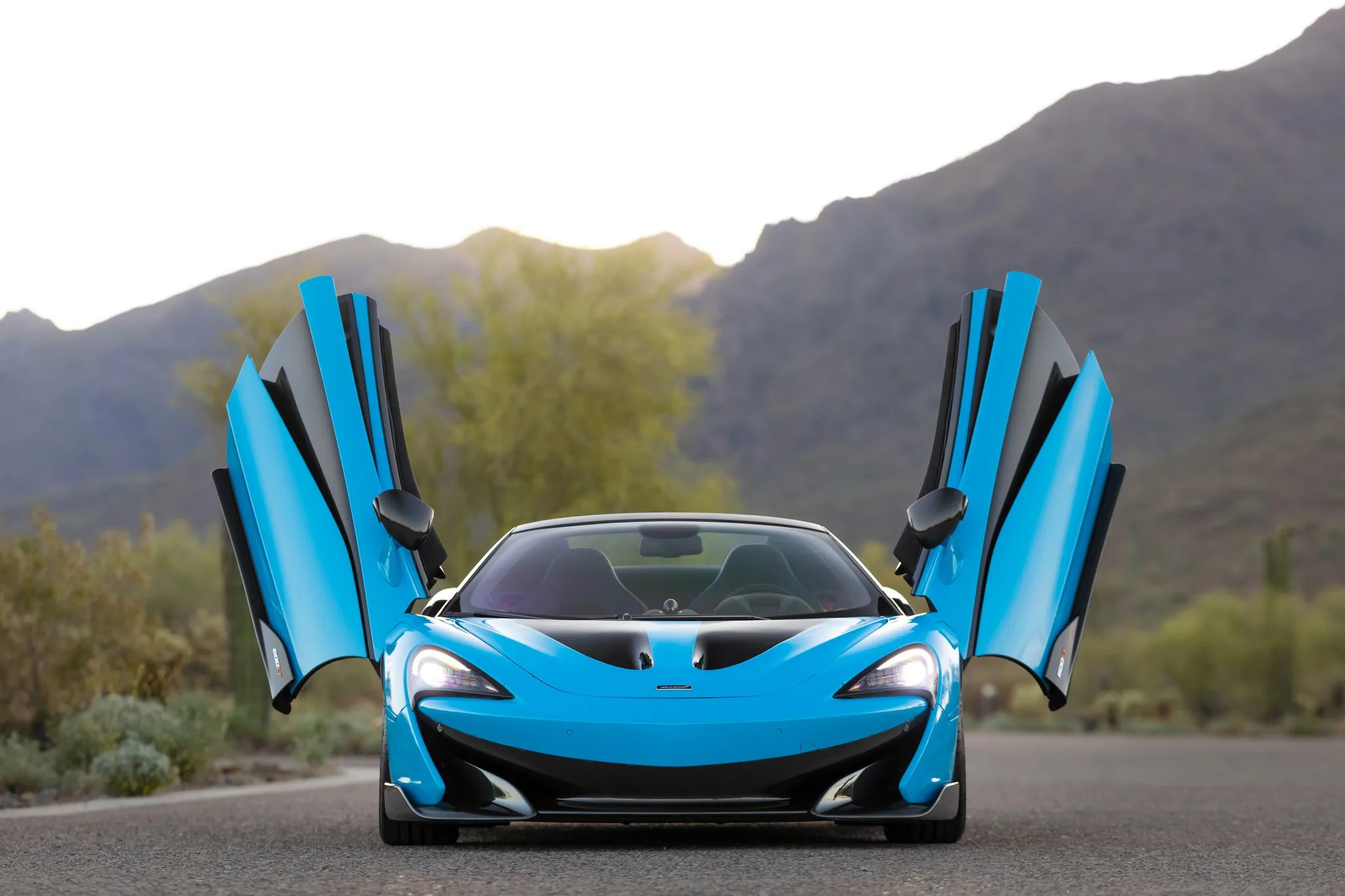 Front view of a McLaren 600LT Spider with the butterfly doors open.