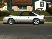 82agbulit