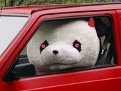 PandaBeat
