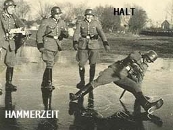 vwdrivervw